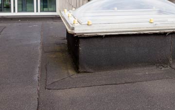 disadvantages of Pondtail flat roofs