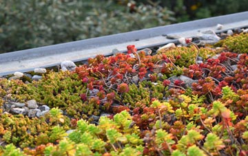 the cost of Pondtail green roof installation