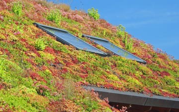 Pondtail living roof systems