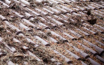 Pondtail roof cleaning companies