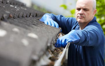 cleaning and inspecting Pondtail roofs