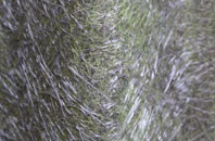 Pondtail fibreglass roof work